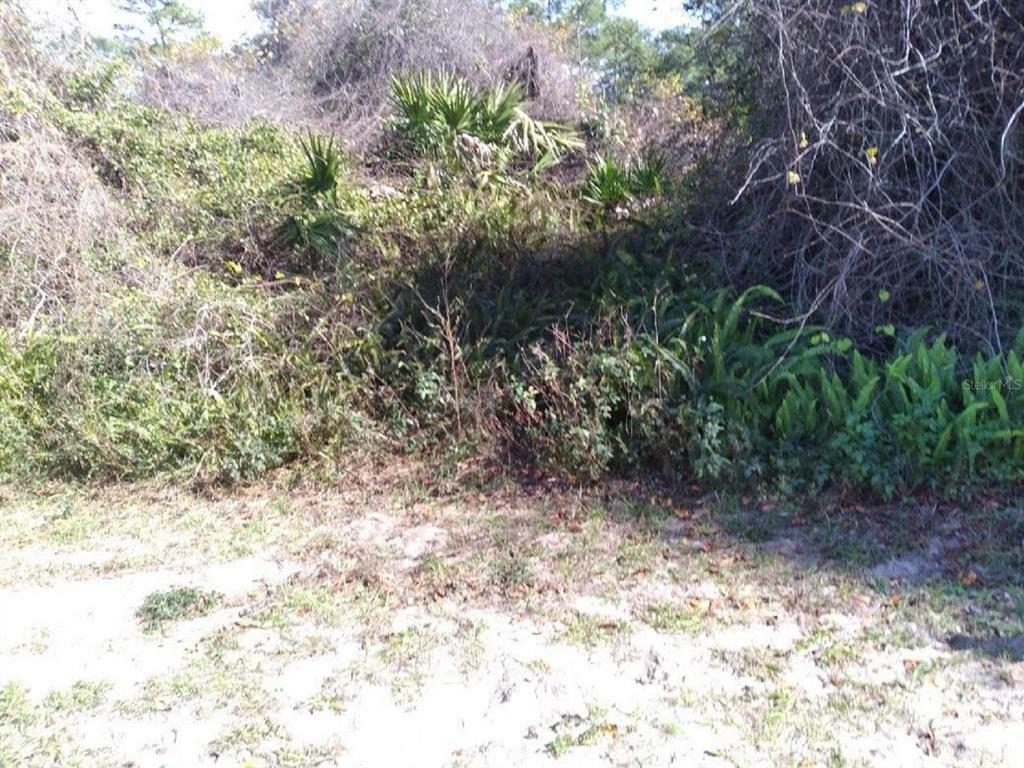 Property Photo:  693 Twin Lake Avenue  FL 32738 