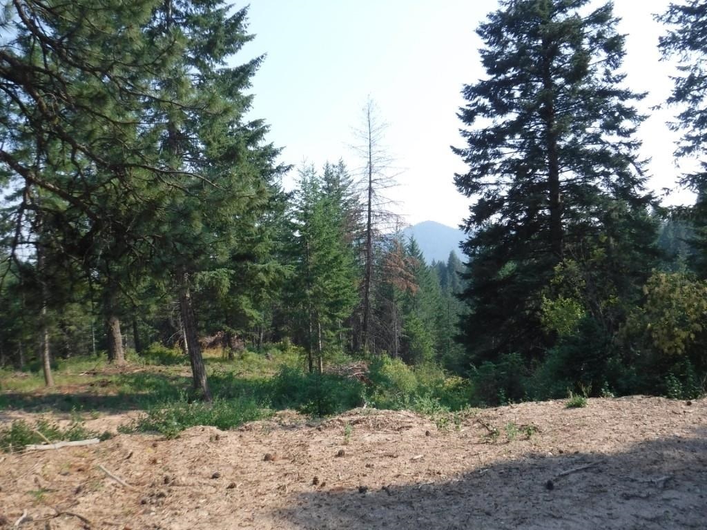 Property Photo:  Xxx Horseshoe Lake Rd  WA 99006 