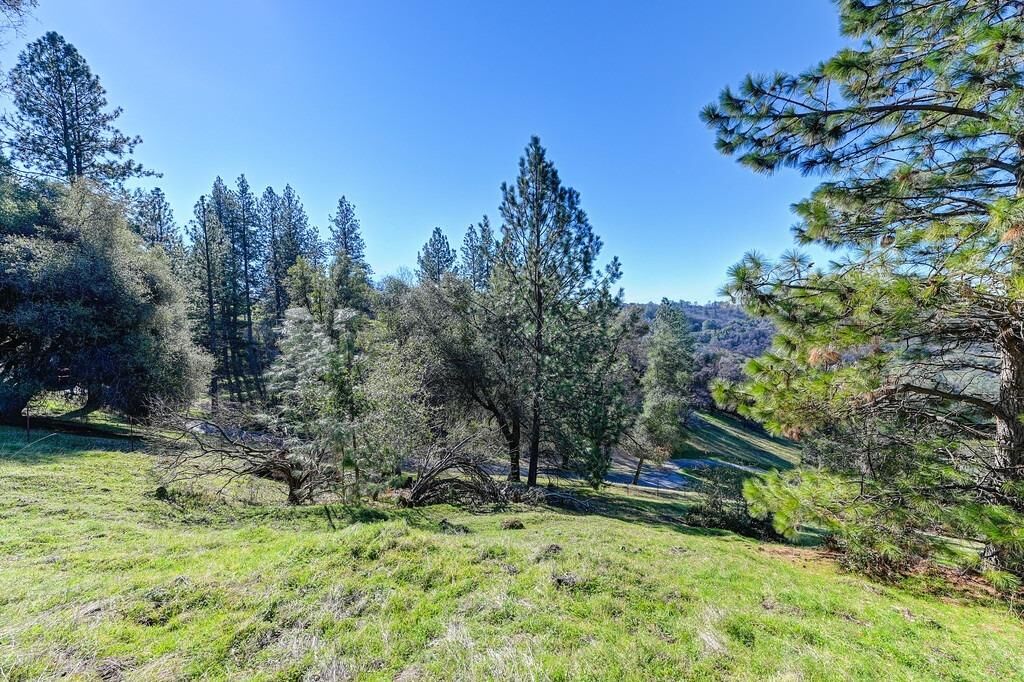 Property Photo: 21109 Adamson Drive CA 95949