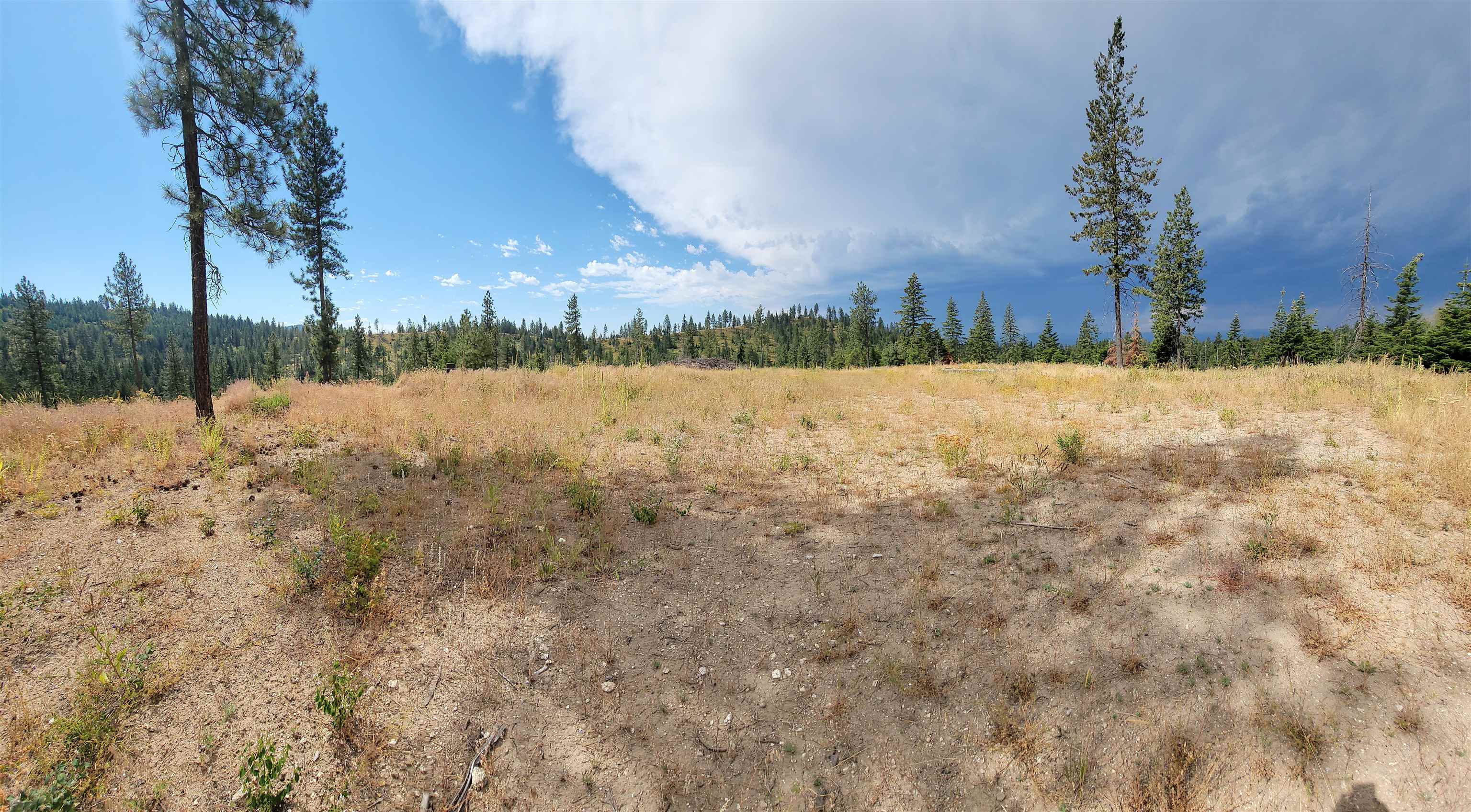 Property Photo: 152xx E Tallman Rd WA 99003