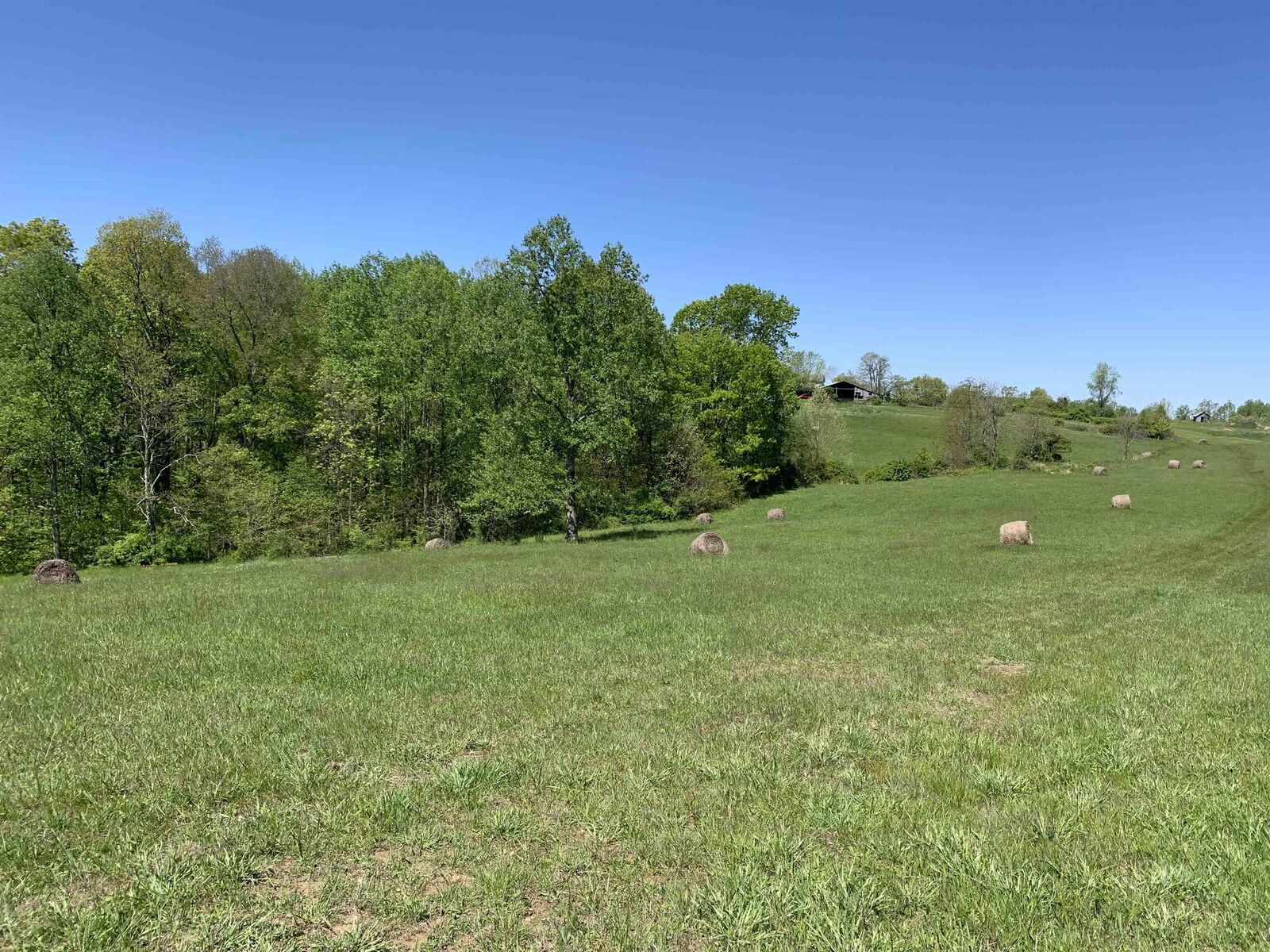 Property Photo:  Lot 3 N State Road 45 Highway  IN 47424 