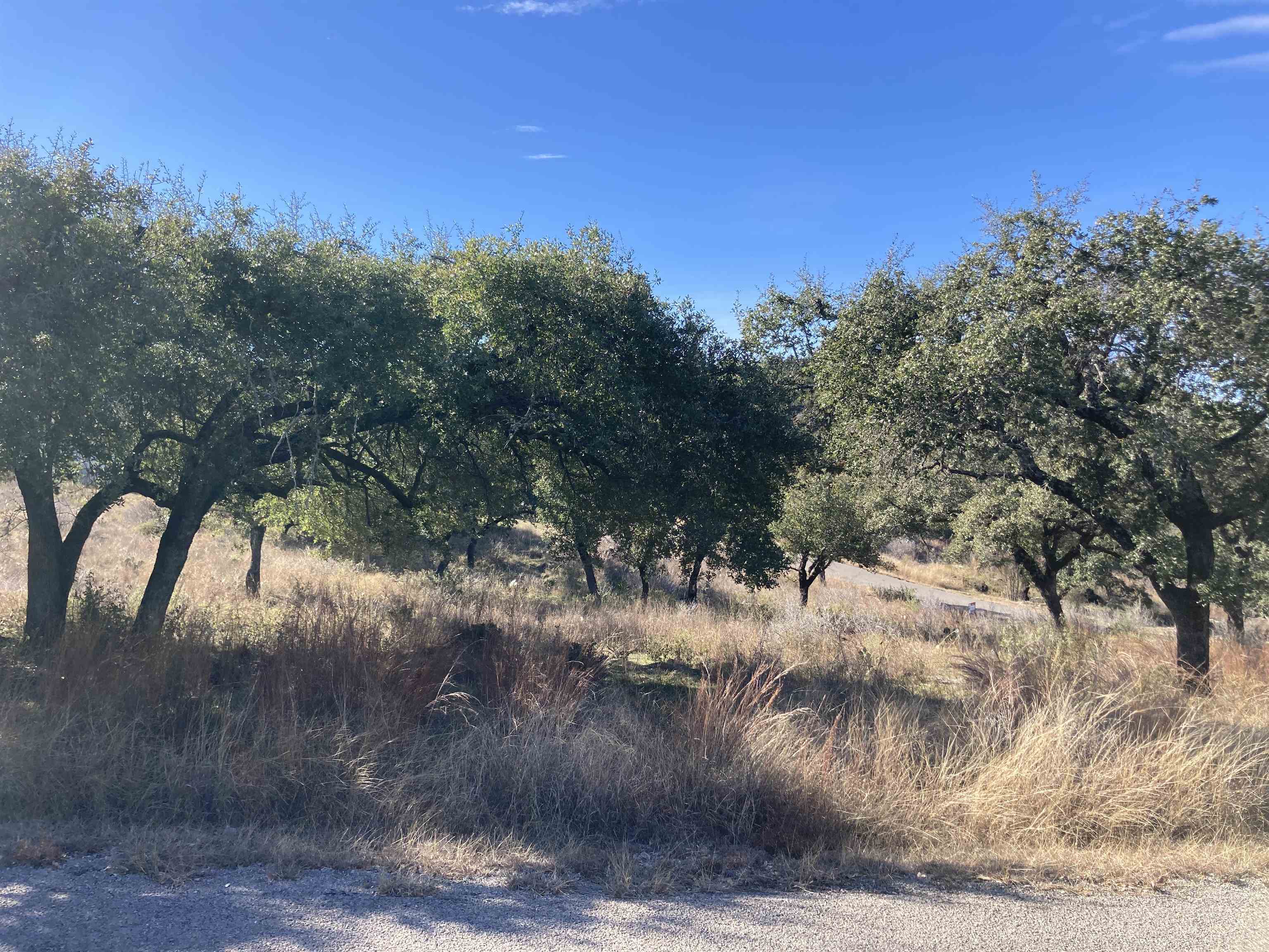 Property Photo: Lot 34 Prince Peak TX 78657