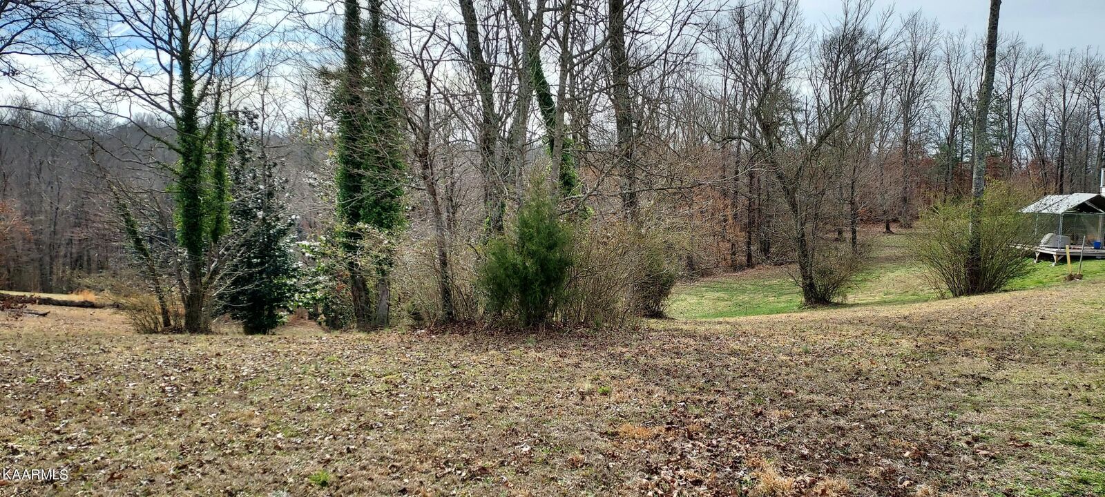 Property Photo: Lot #22 Timber Creek Drive TN 37303