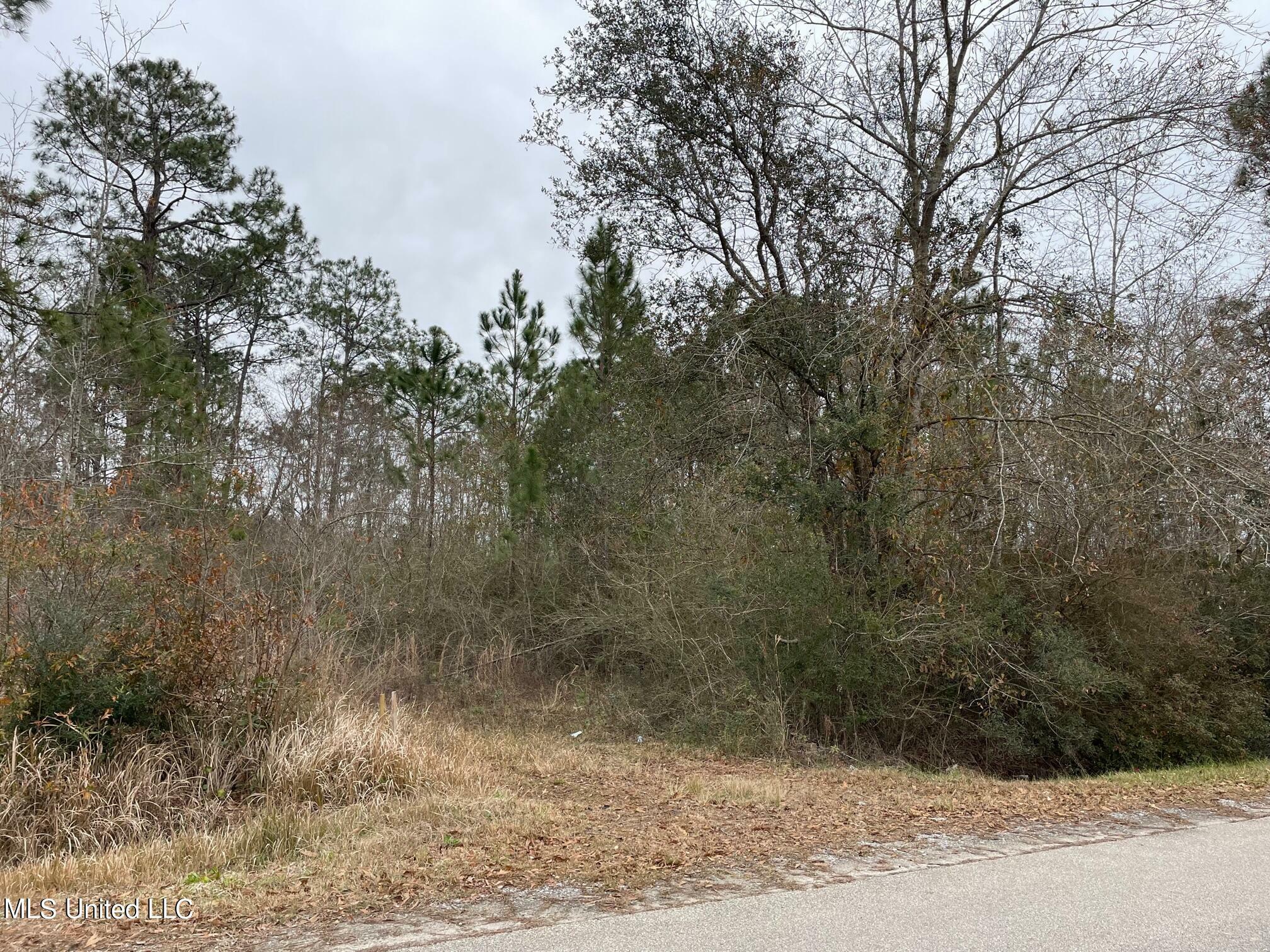 Property Photo:  10452 New Hope Road  MS 39503 