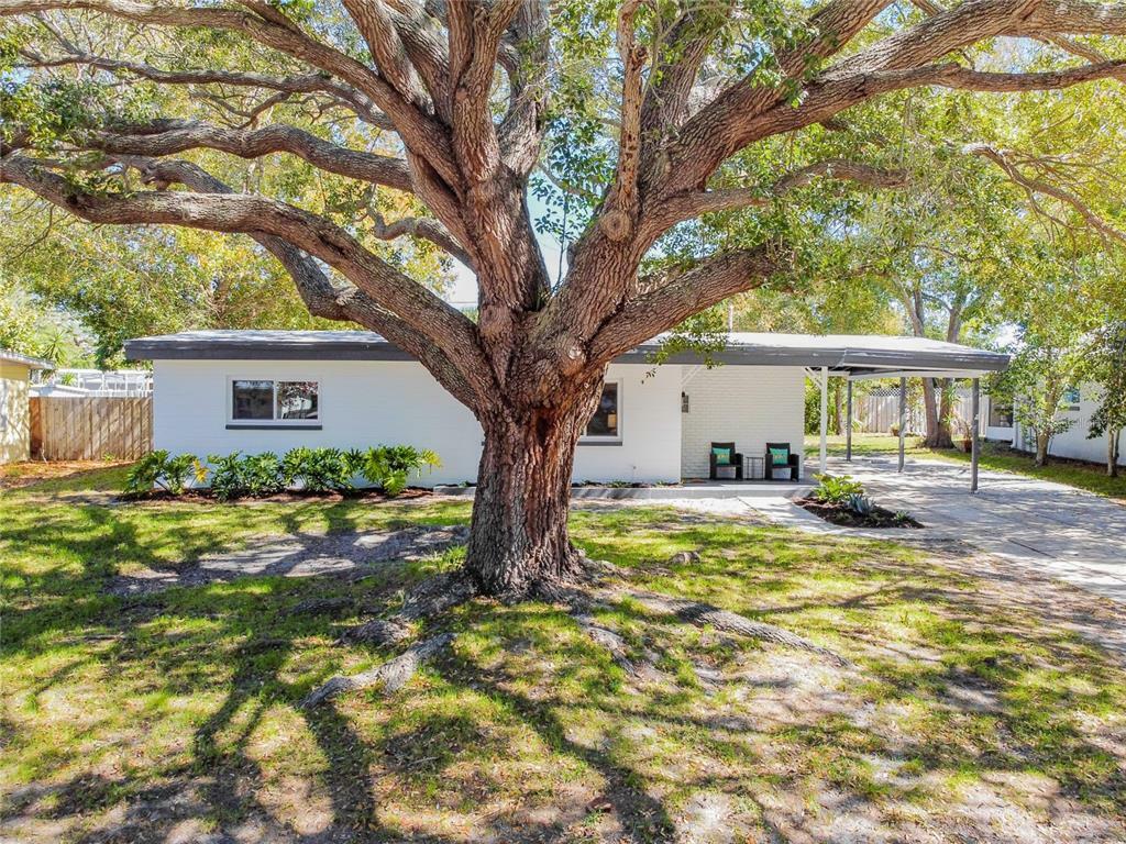 Property Photo:  4400 Porpoise Drive SE  FL 33705 