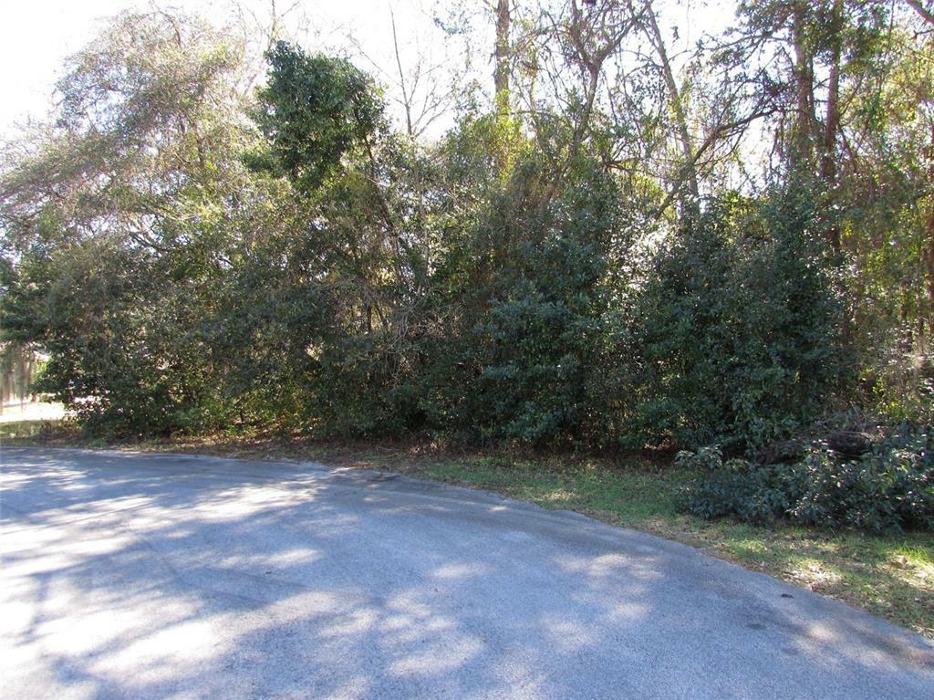 Property Photo:  Tbd SW 93 Lane  FL 34432 