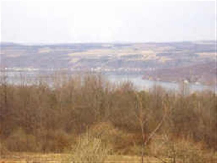 0 Goodwin Hill Road  Dundee NY 14837 photo