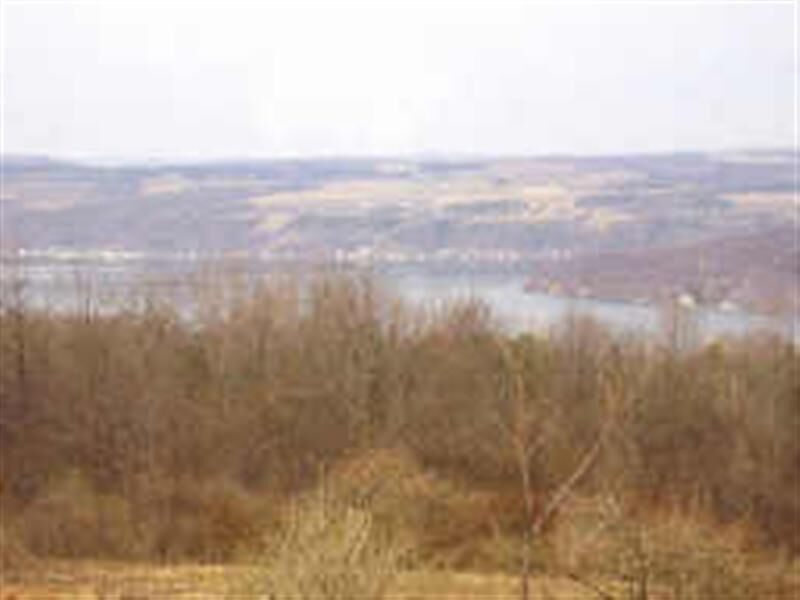 Property Photo: 0 Goodwin Hill Road NY 14837