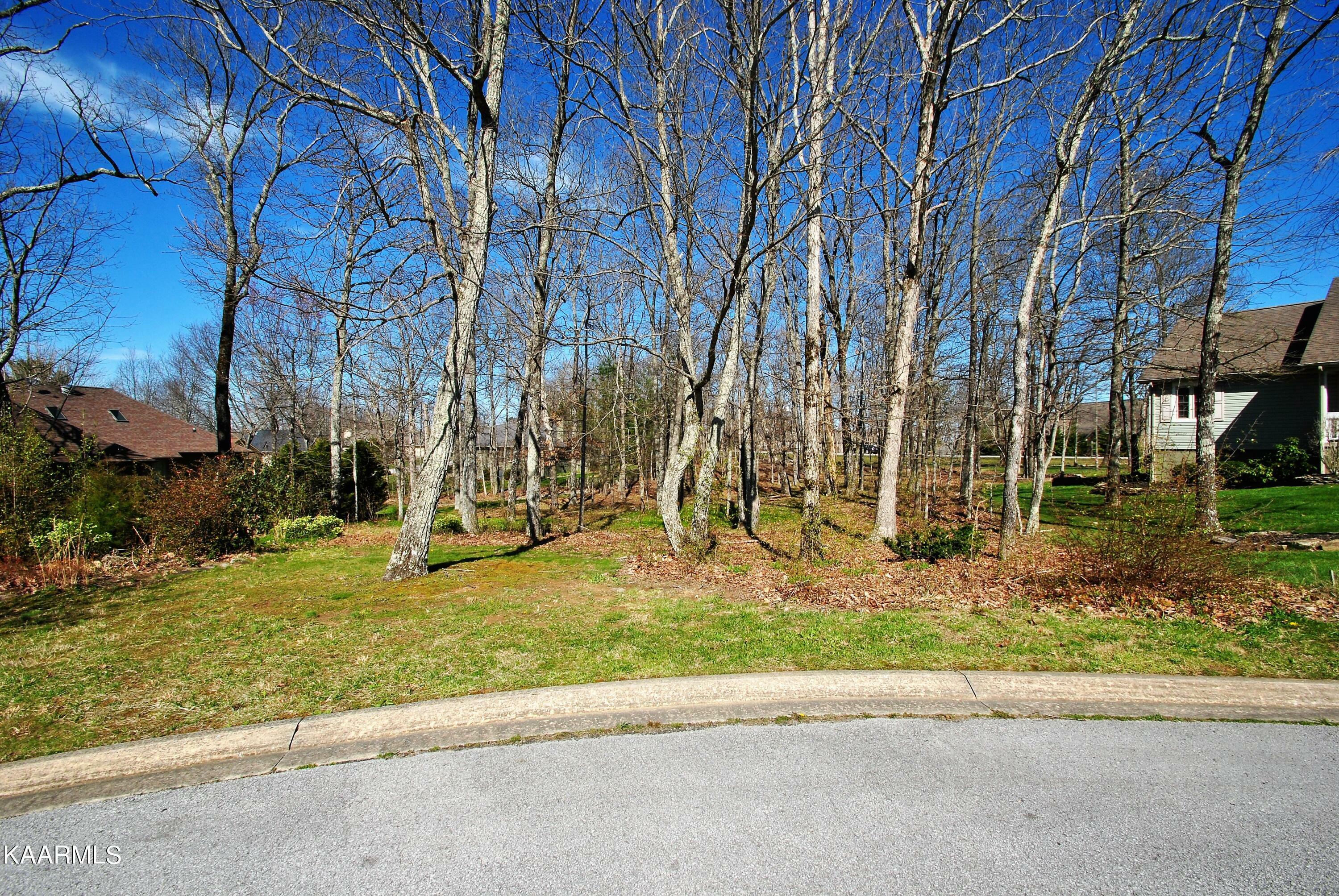 Property Photo:  13 Creigmont Court  TN 38558 