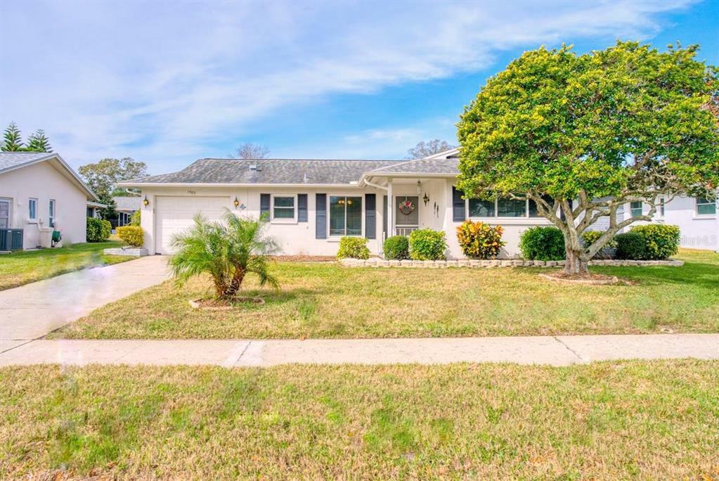 Property Photo:  1483 Dundee Drive  FL 34684 