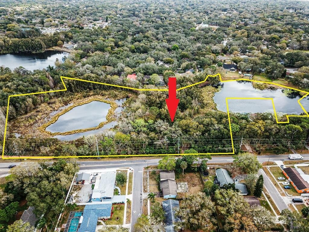 Property Photo:  12745 N Armenia Avenue  FL 33612 