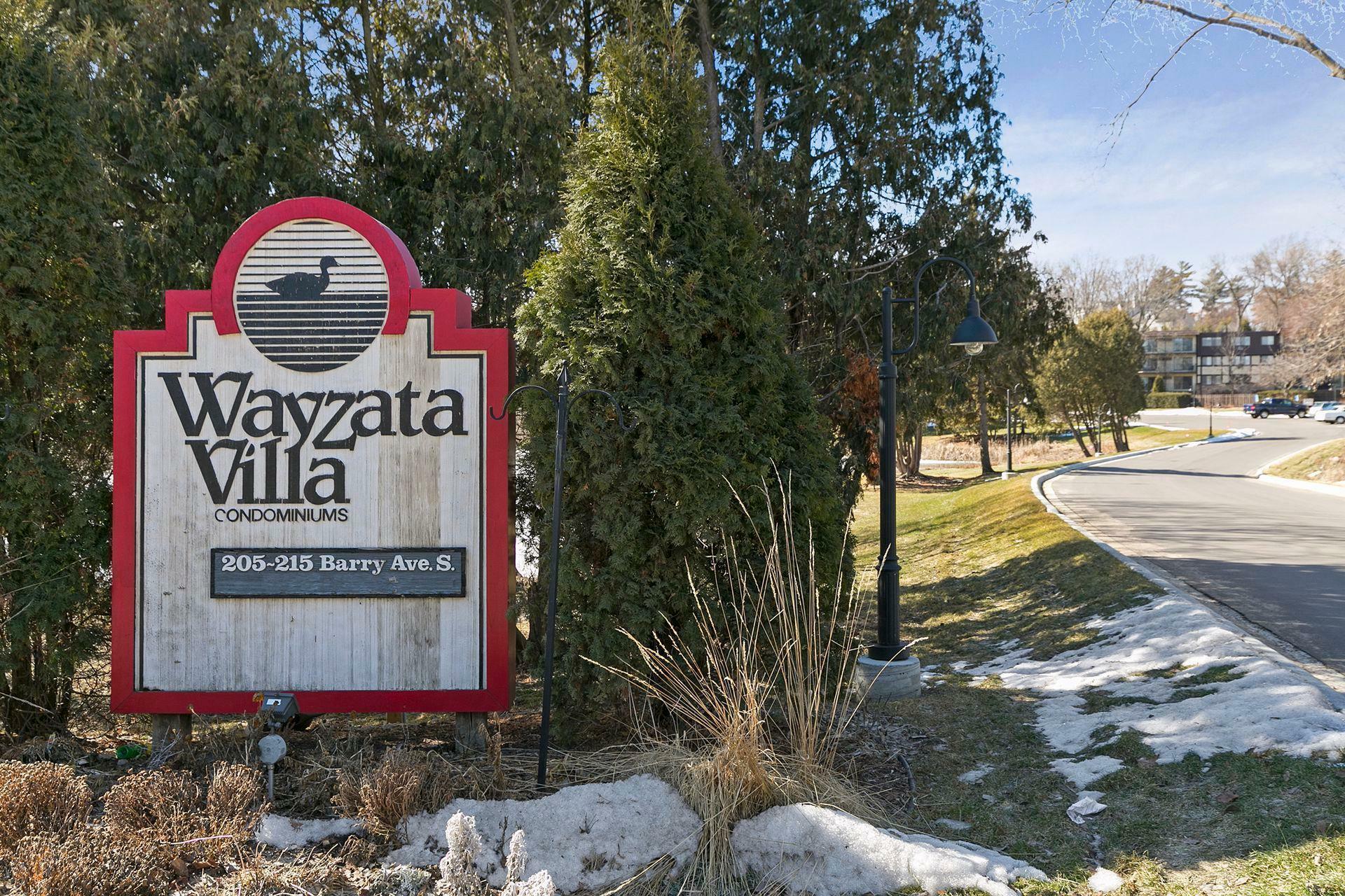205 Barry Avenue S 313  Wayzata MN 55391 photo