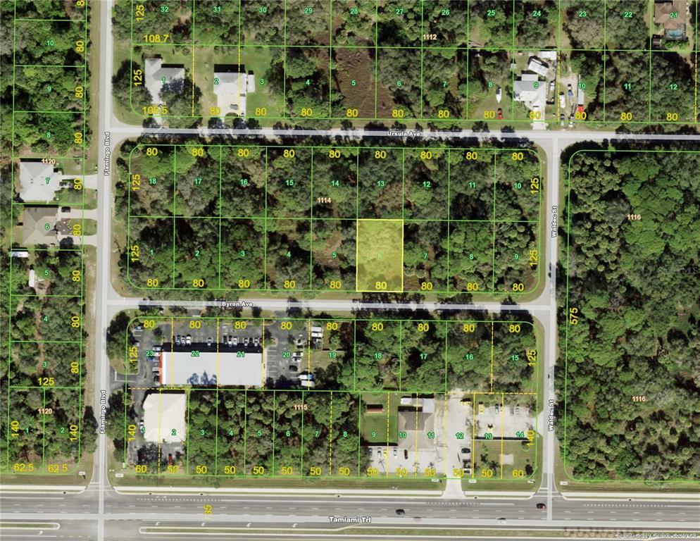 Property Photo: 17070 Byron Avenue FL 33954