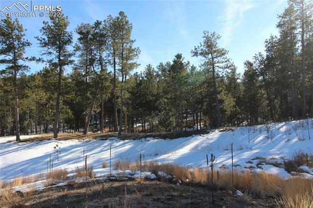 Property Photo:  12232 Goodson Road  CO 80908 