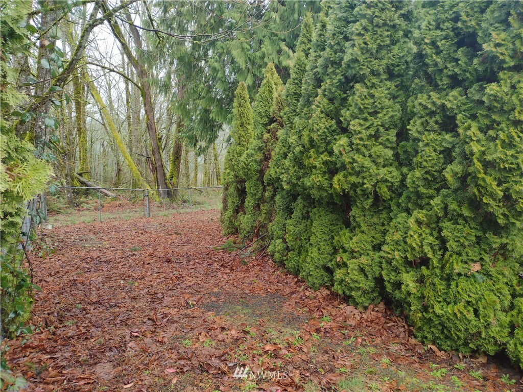 Property Photo: 1602 Pierce Avenue SE WA 98058