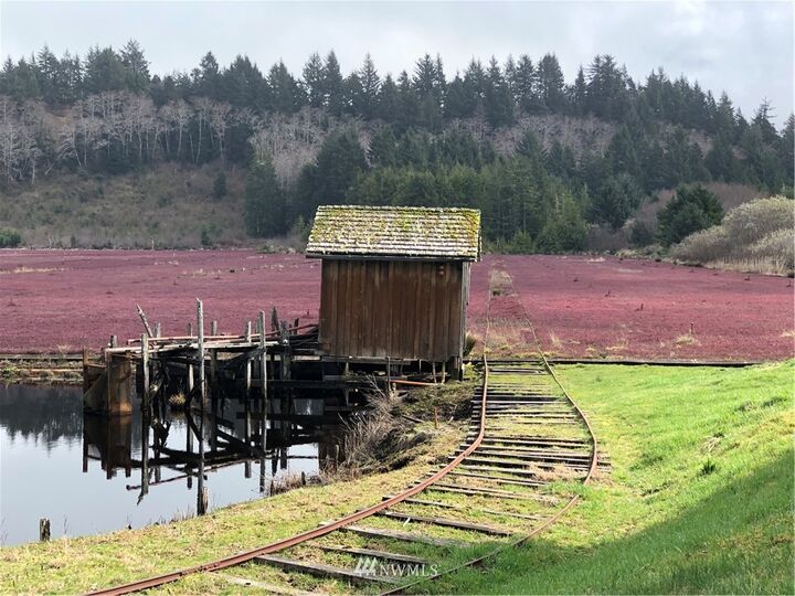 Property Photo: 2482 Evergreen Park Drive WA 98547