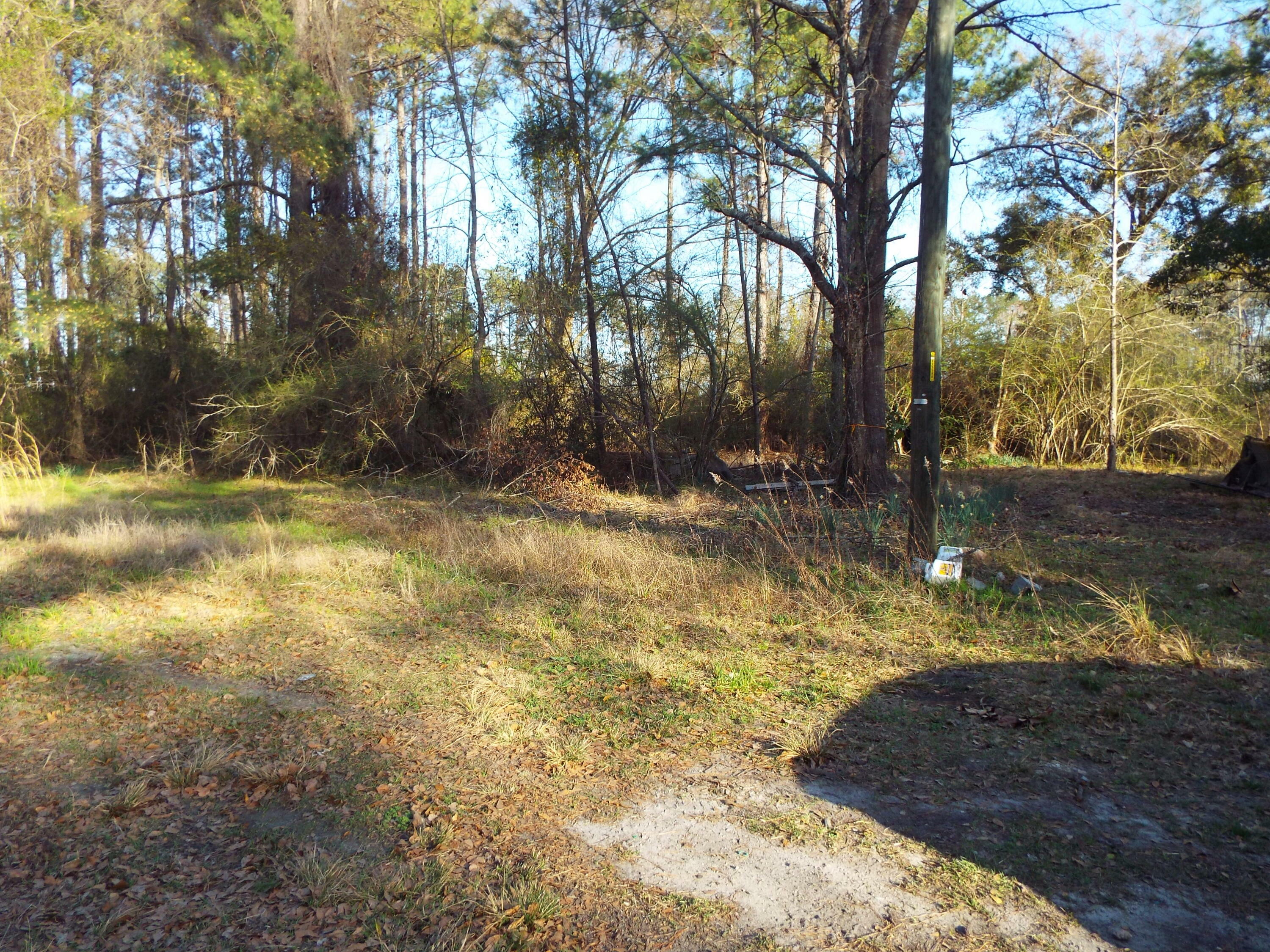 Property Photo:  1085 Lot C Whitehouse Road  SC 29486 