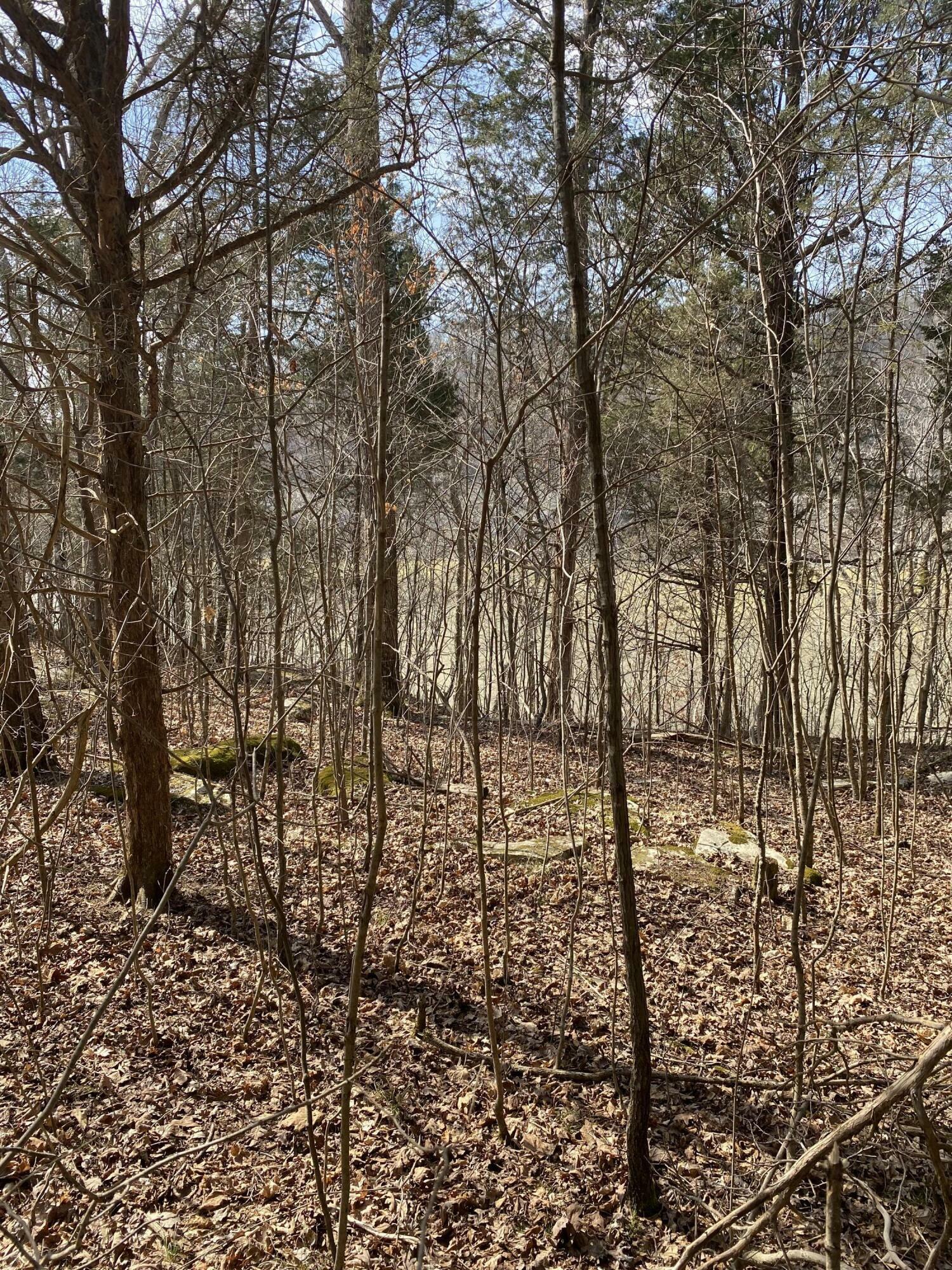 Property Photo:  Lot 20 North Fork Road  KY 42519 