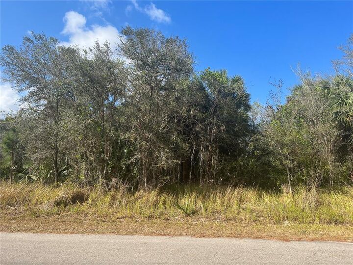 Property Photo:  Baynes Road  FL 34288 