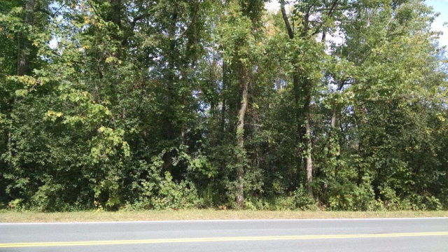 Property Photo: Lot 0 Lapham Mills Road NY 12972