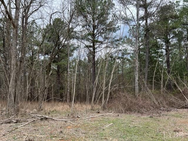 0 Flat Top Cove Road  Gretna VA 24557 photo