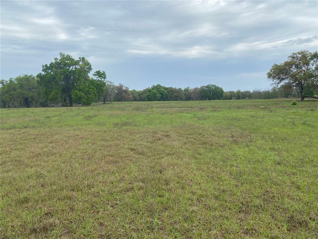 Property Photo:  Larson Lane  FL 32159 