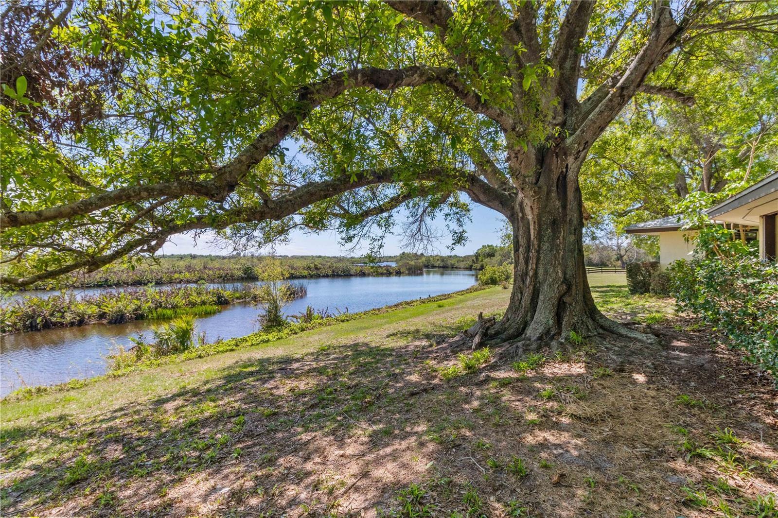Property Photo: 2400 Mangrove Road FL 33982