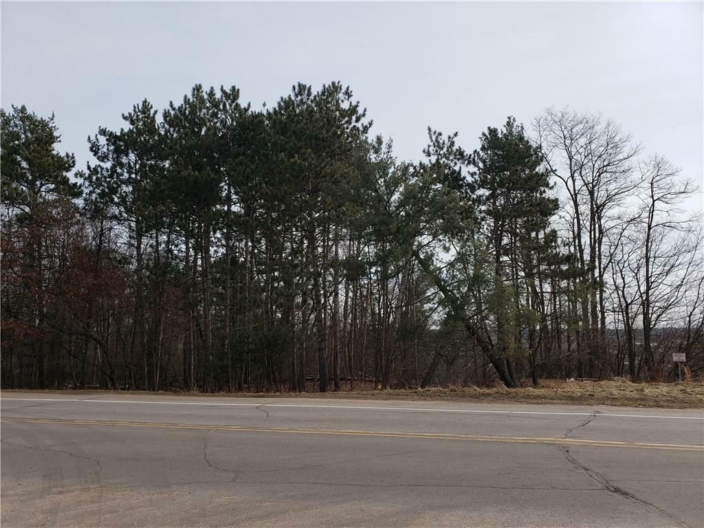 Property Photo: Tbd Birch Street WI 54703