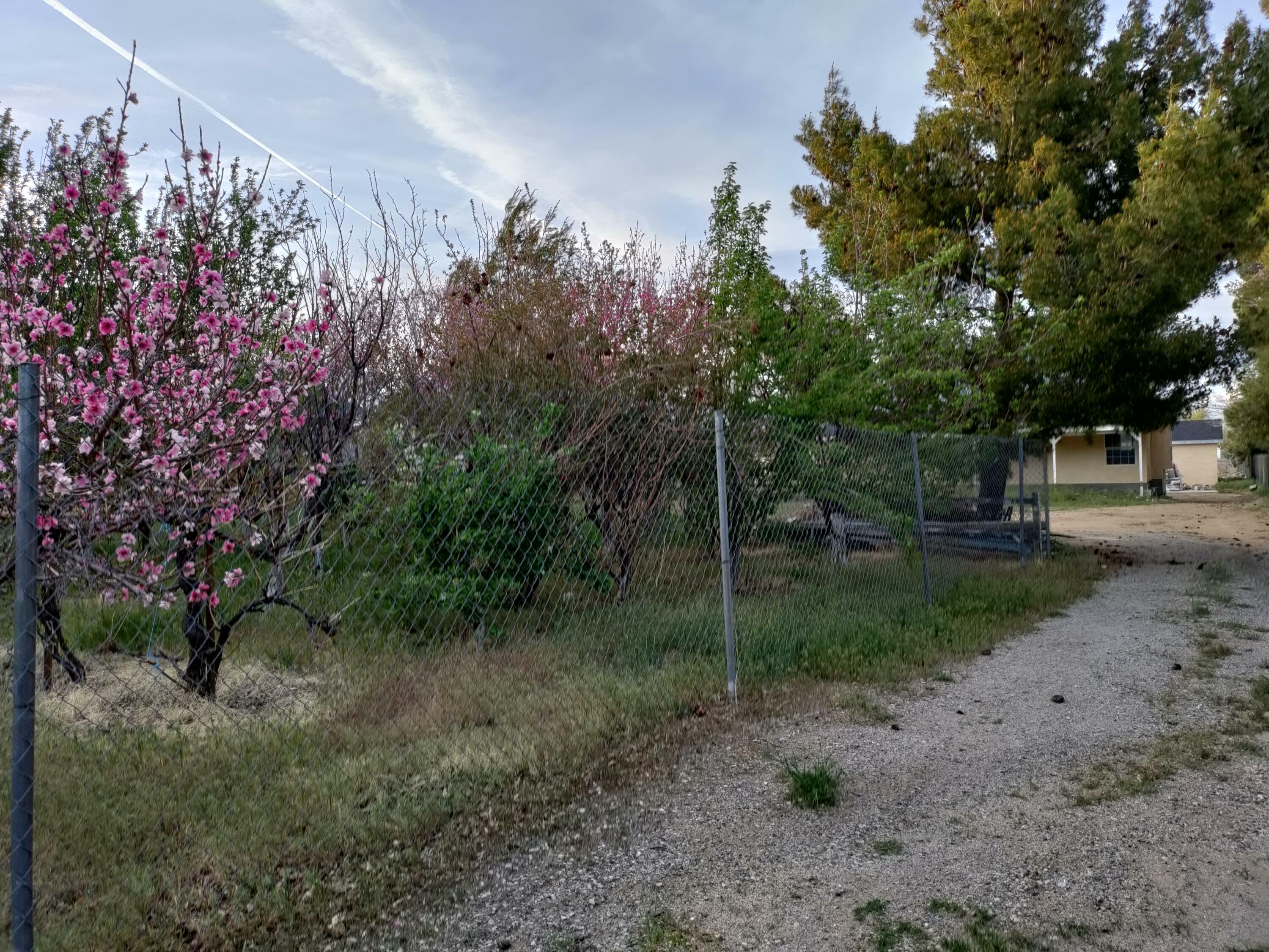 5257 W Avenue M4  Quartz Hill CA 93536 photo