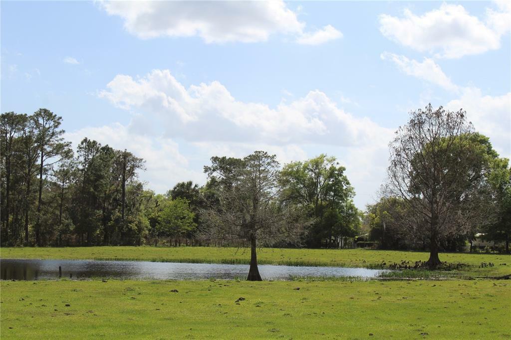 Property Photo:  1235 Lakeview Drive  FL 32720 