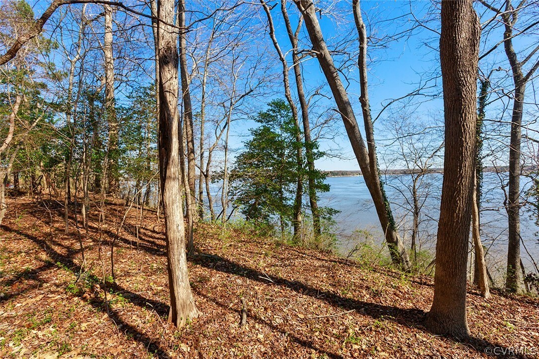 Property Photo:  Tbd Eagle Bluff Road  VA 23899 