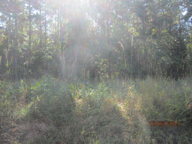 Property Photo:  000 Brown Road  GA 30673 