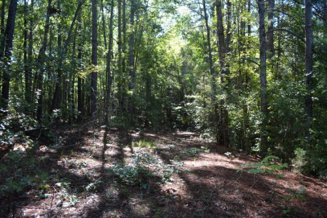 Property Photo:  3596 Cedar Rock Road  GA 30824 