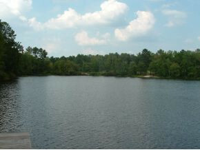 Property Photo:  0 Twin Pond Road  GA 31087 