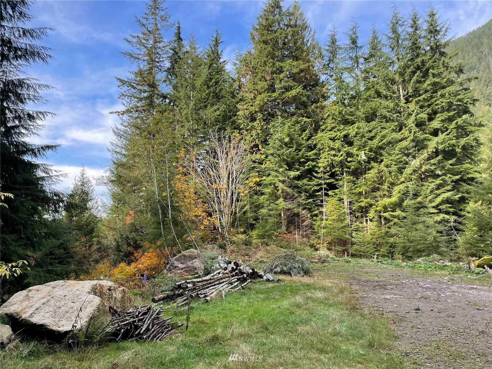 Property Photo:  49115 SE 115th Street  WA 98045 