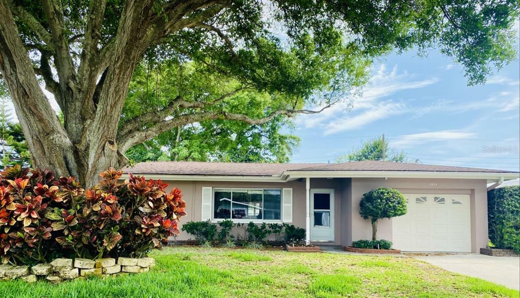 Property Photo:  13834 Martinique Drive  FL 33776 