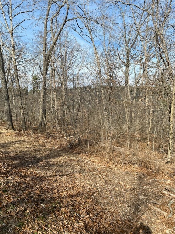 Property Photo:  Lot 55, Block 1 Leicester Drive  AR 72714 