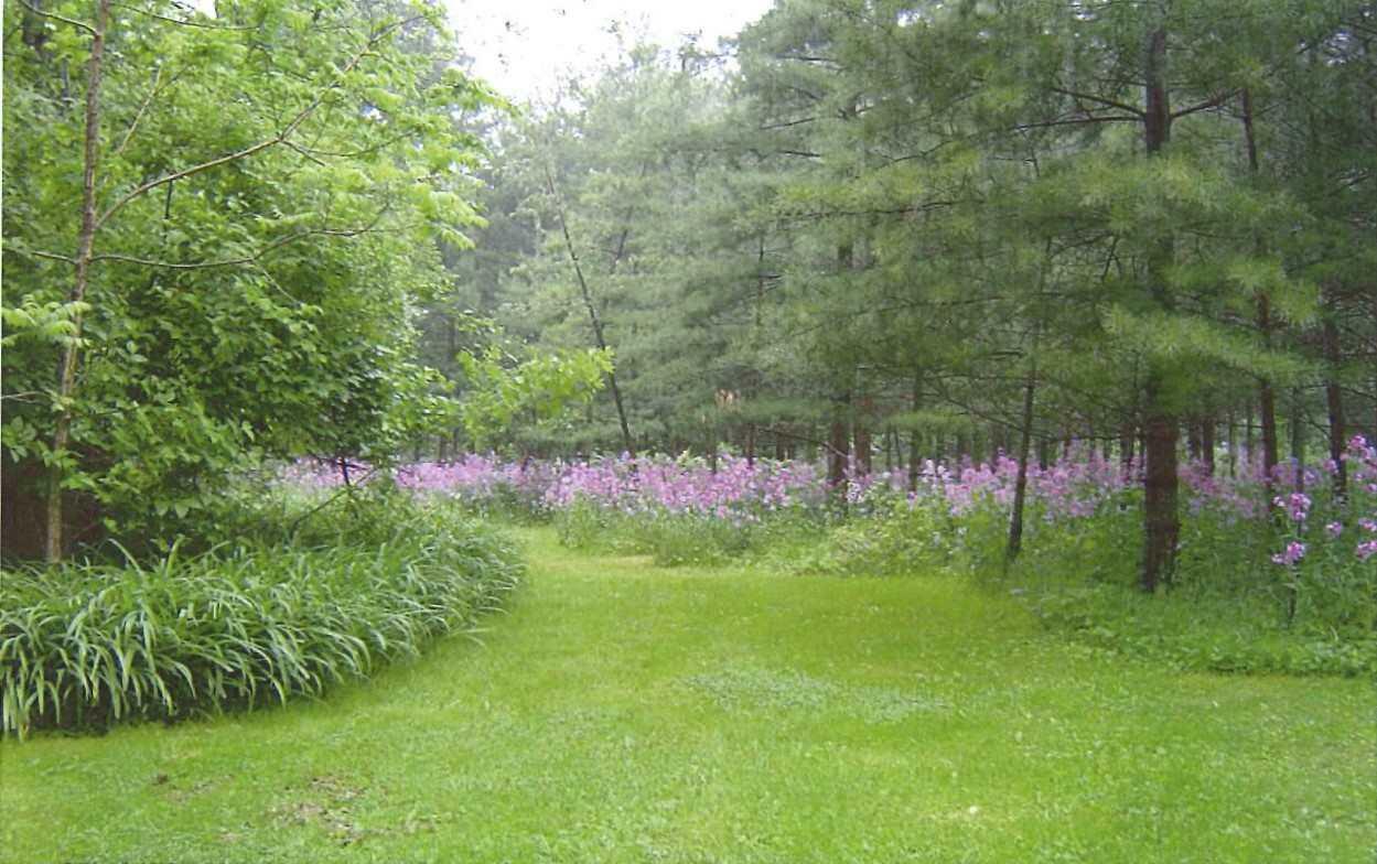 Property Photo: 323 Forest Ave WI 54941