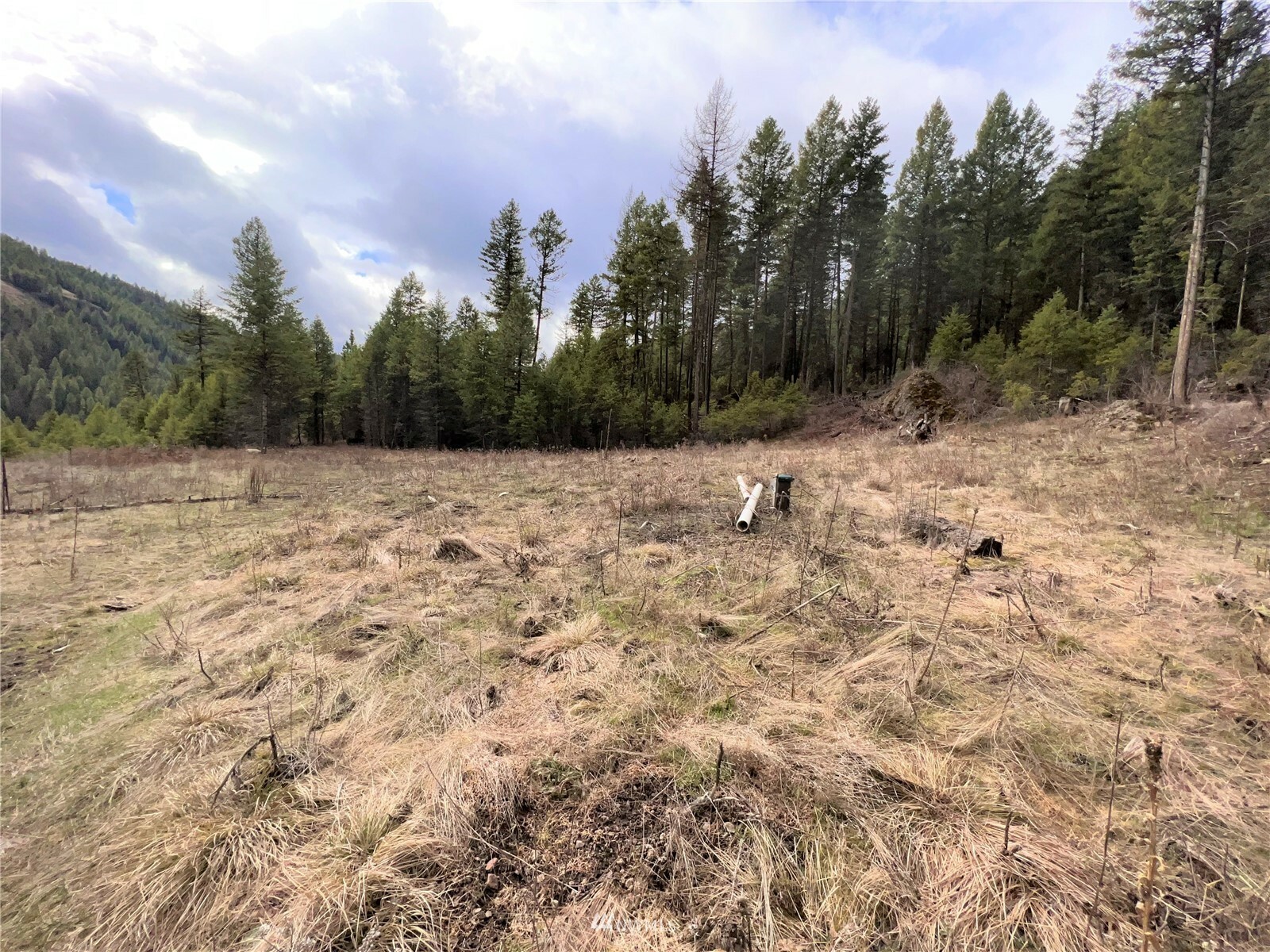 Property Photo: 33 Blissful Trail Lane WA 99166
