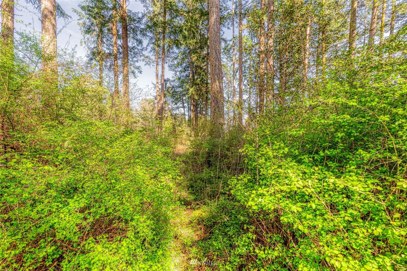 Property Photo: 0 Cattle Point Road WA 98250