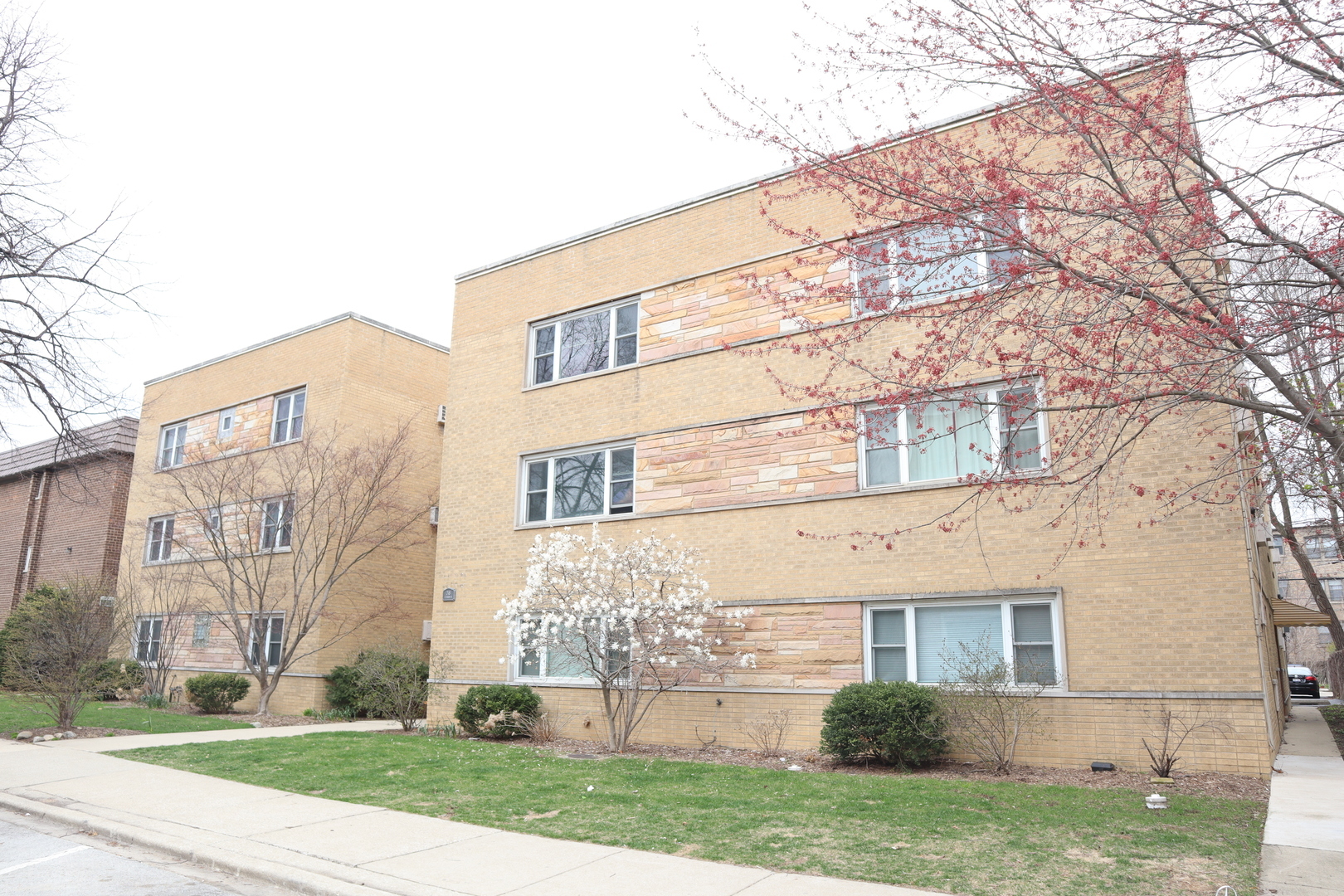 Property Photo:  248 S Marion Street 206  IL 60302 