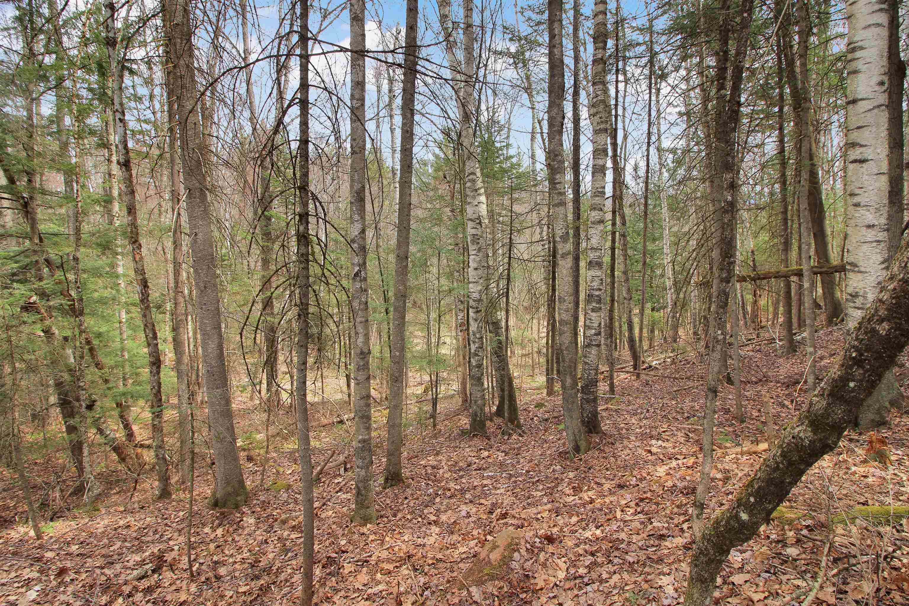 Property Photo: 204-265 King Drive NH 03765