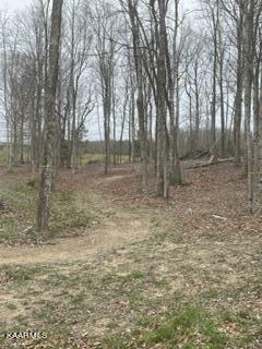 Property Photo:  Jane Phillips Rd  TN 37841 