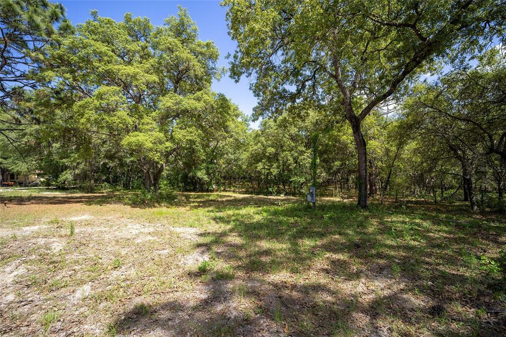 Property Photo:  462 E Shawna Court  FL 34442 