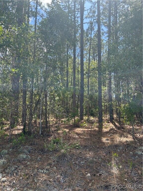 Property Photo:  1448 W Donner Drive  FL 34434 
