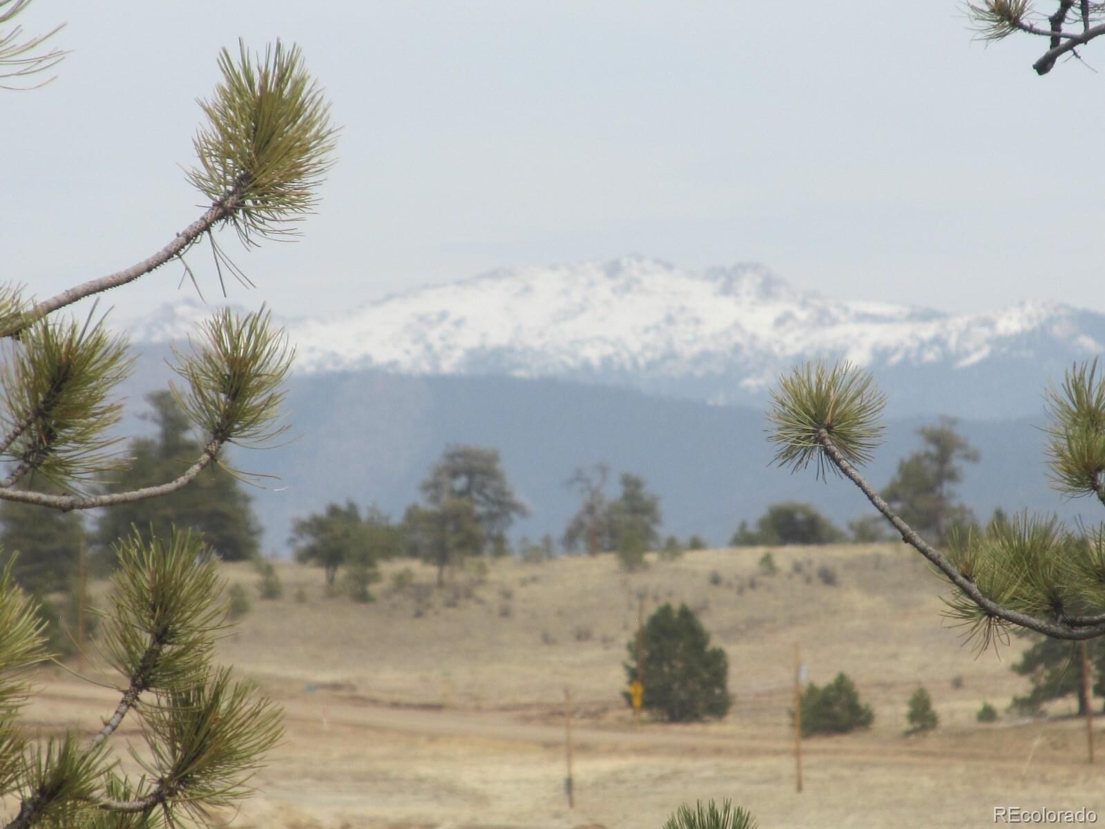Property Photo: 2887 S Muley Gulch Drive CO 80449