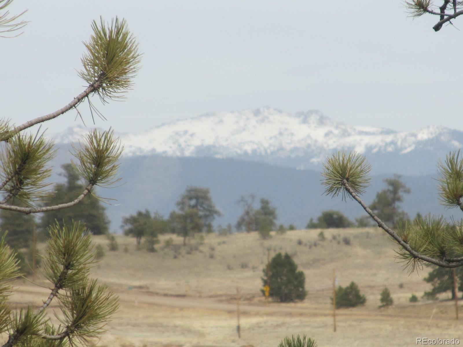 Property Photo:  2887 S Muley Gulch Drive  CO 80449 