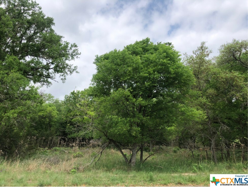 Property Photo:  Lot 75 E Valley Spring Road  TX 78676 