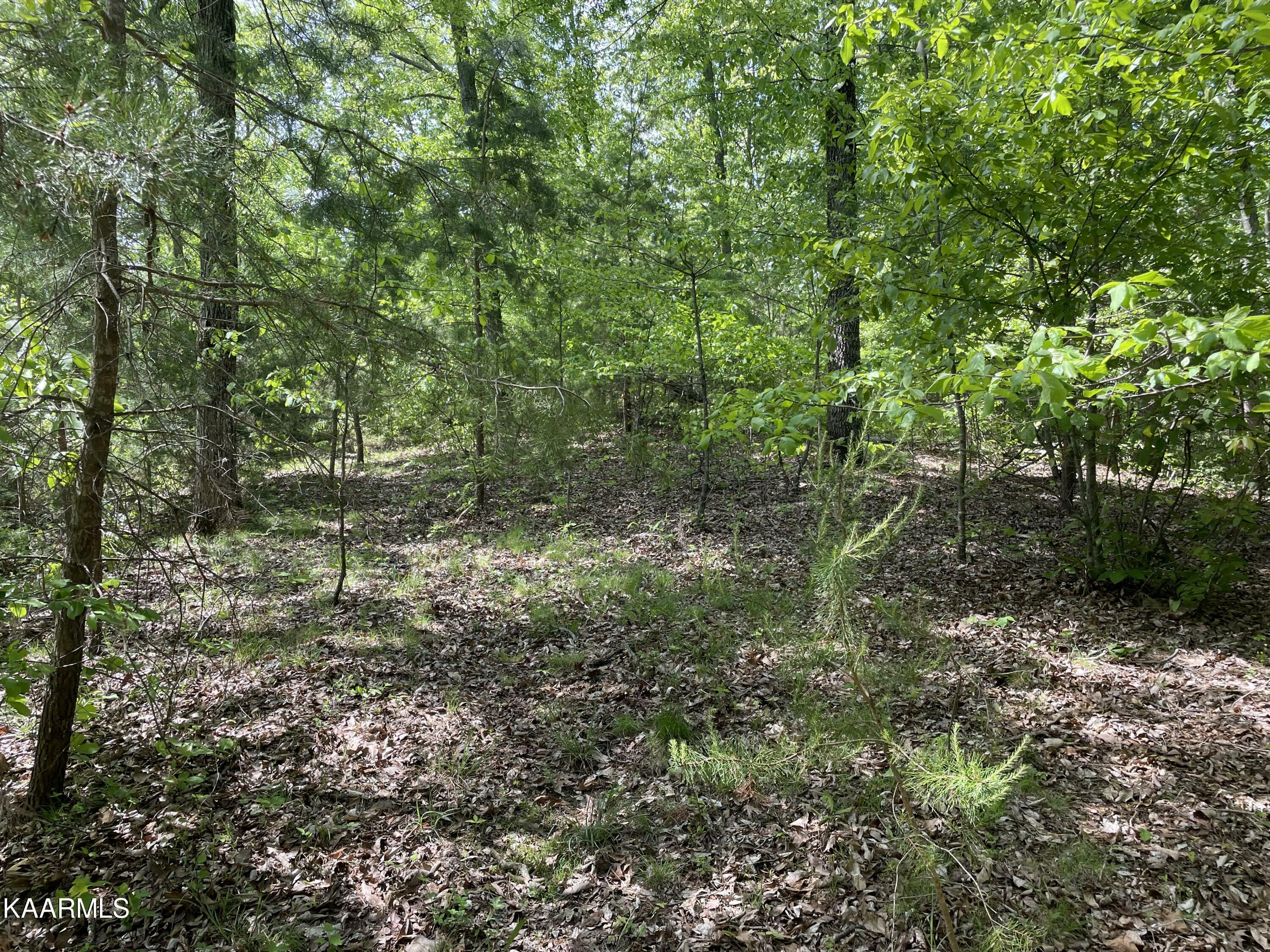 Property Photo:  Bayside Blvd Lot 42  TN 37708 