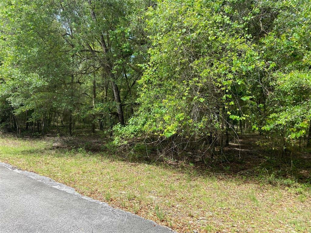 Property Photo:  Lot 6 SW 83 Rd Pl  FL 34431 